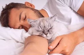 Dormire con il cane o il gatto è pericoloso per la salute?