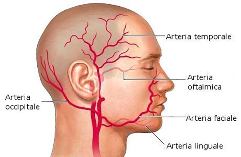 Parere positivo del CHMP per Upadacitinib nel trattamento della Arterite a cellule giganti